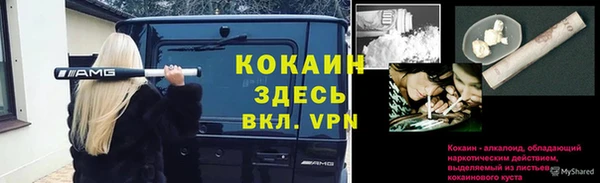 дживик Инта